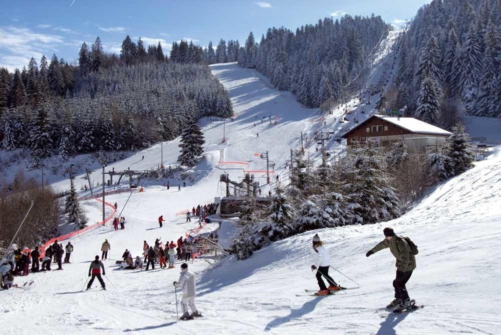 Au Chalet D'Aline - Atypique Pour 4 Personnes Villa Gerardmer Bagian luar foto