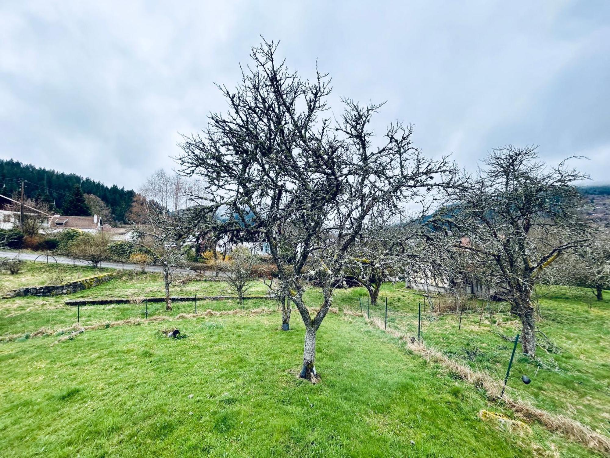 Au Chalet D'Aline - Atypique Pour 4 Personnes Villa Gerardmer Bagian luar foto